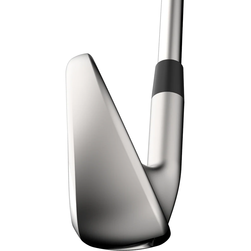 Exotics E725 Women's Irons